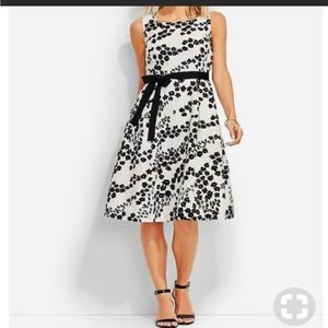 Talbots White Black Flowers Floral Dress in good used condition